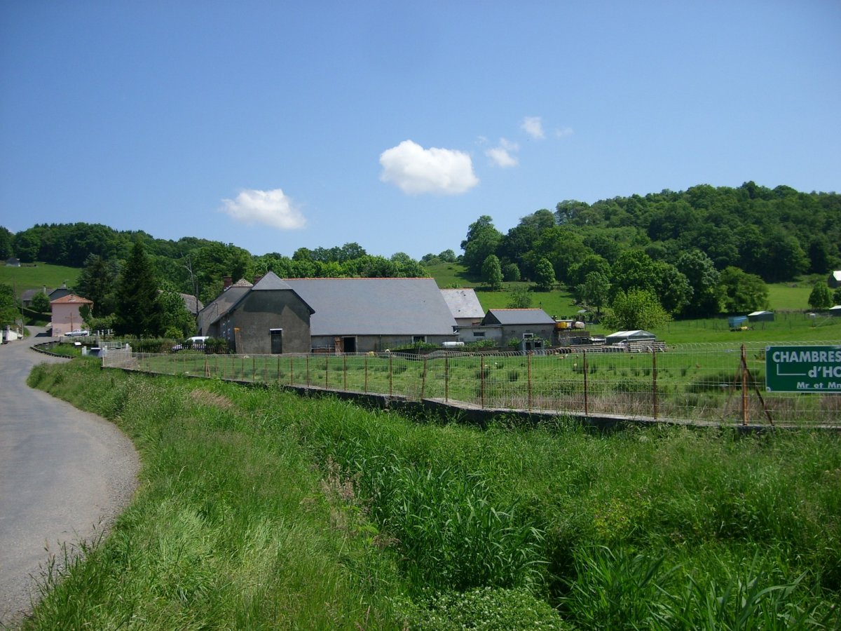 STP62184