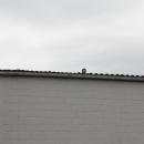 IMG_4110