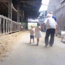 IMG-20240816-WA0085